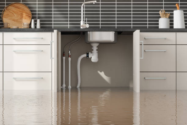 Emergency drain cleaning services in San Jose